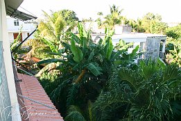 125 2518  Blick vom Balkon : Mauritius