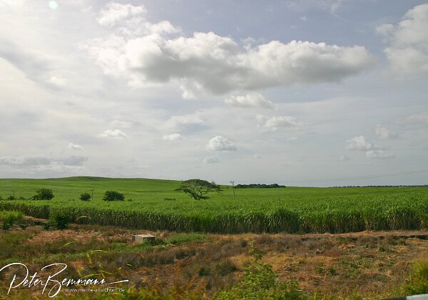Tagesausflug - Zuckerrohr und Herrenhaus Besuch in einem Zuckerrohr-Museum (ehemalige Fabrik) und in einem Herrenhaus aus der Kolonialzeit
