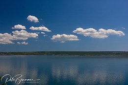 IMG_15619