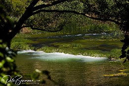IMG_15665