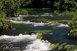 IMG_15672