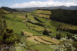 IMG_06371