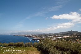 IMG_06385