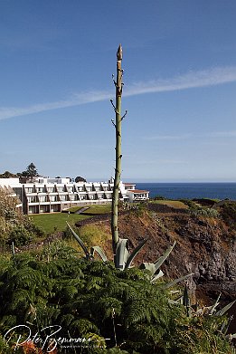 IMG_06428 Blick auf Hotel Caloura