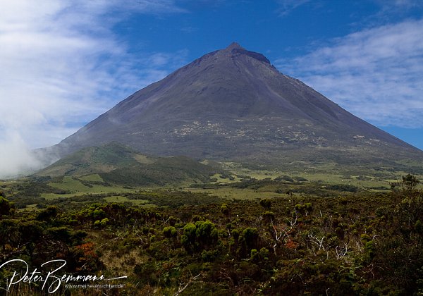 Insel Pico