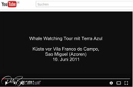 Video Whale Watching Tour mit Terra Azul