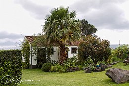 Unterkunft auf Sa Jorge - Jardim do Tringulo