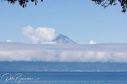 Pico - morgens, nach dem Aufstehen. Einfach herrlich.