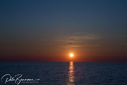 Sonnenuntergang am Golfo dell' Asinara