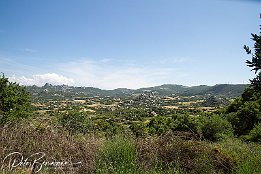 IMG_27831