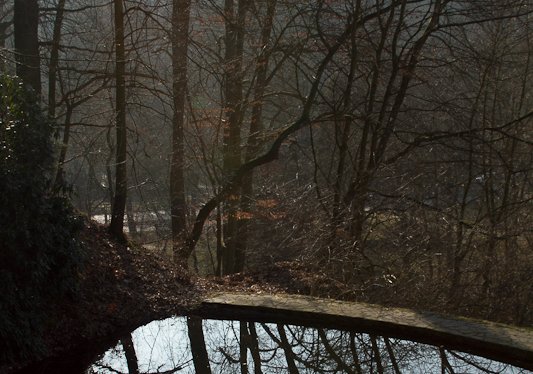 Natur Landschaften, Pflanzen, Jahreszeiten, Elemente